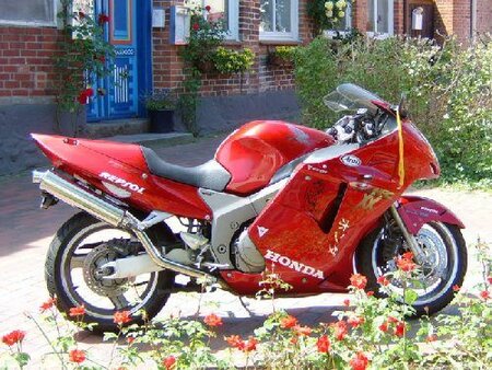 Honda CBR 1100 XX, Sidepipes fr Modelle ohne Katalysatoren