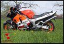 Honda CBR 1100 XX, Sidepipes für Modelle ohne Katalysatoren